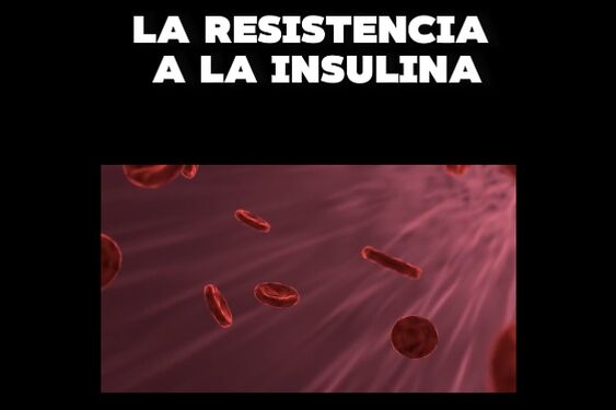 Resistencia A La Insulina